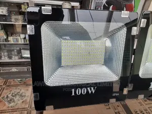 100w Flood Light