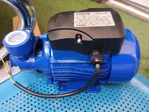 Professional Chimp 0.5 Hp Water Pump