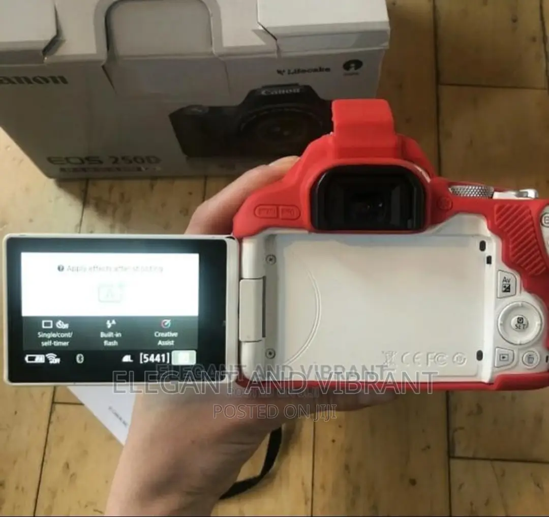 Canon Eos 250d in Very Little Use Condition