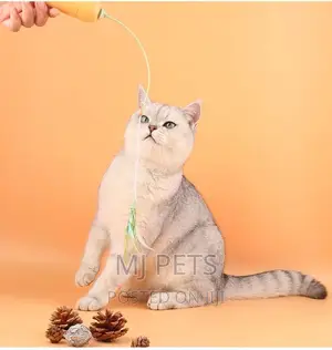 Play Toy for Cats N Puppies