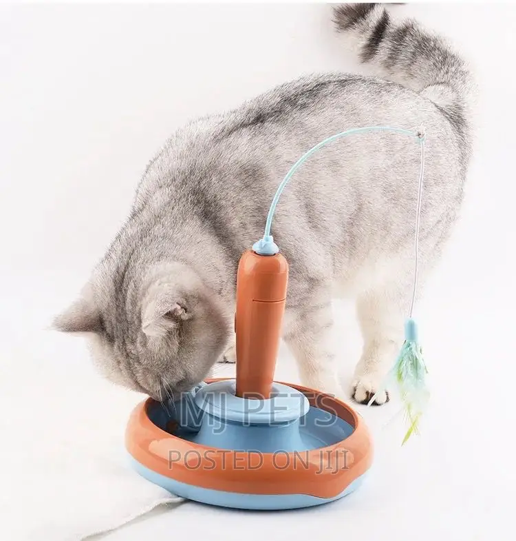 Play Toy for Cats N Puppies