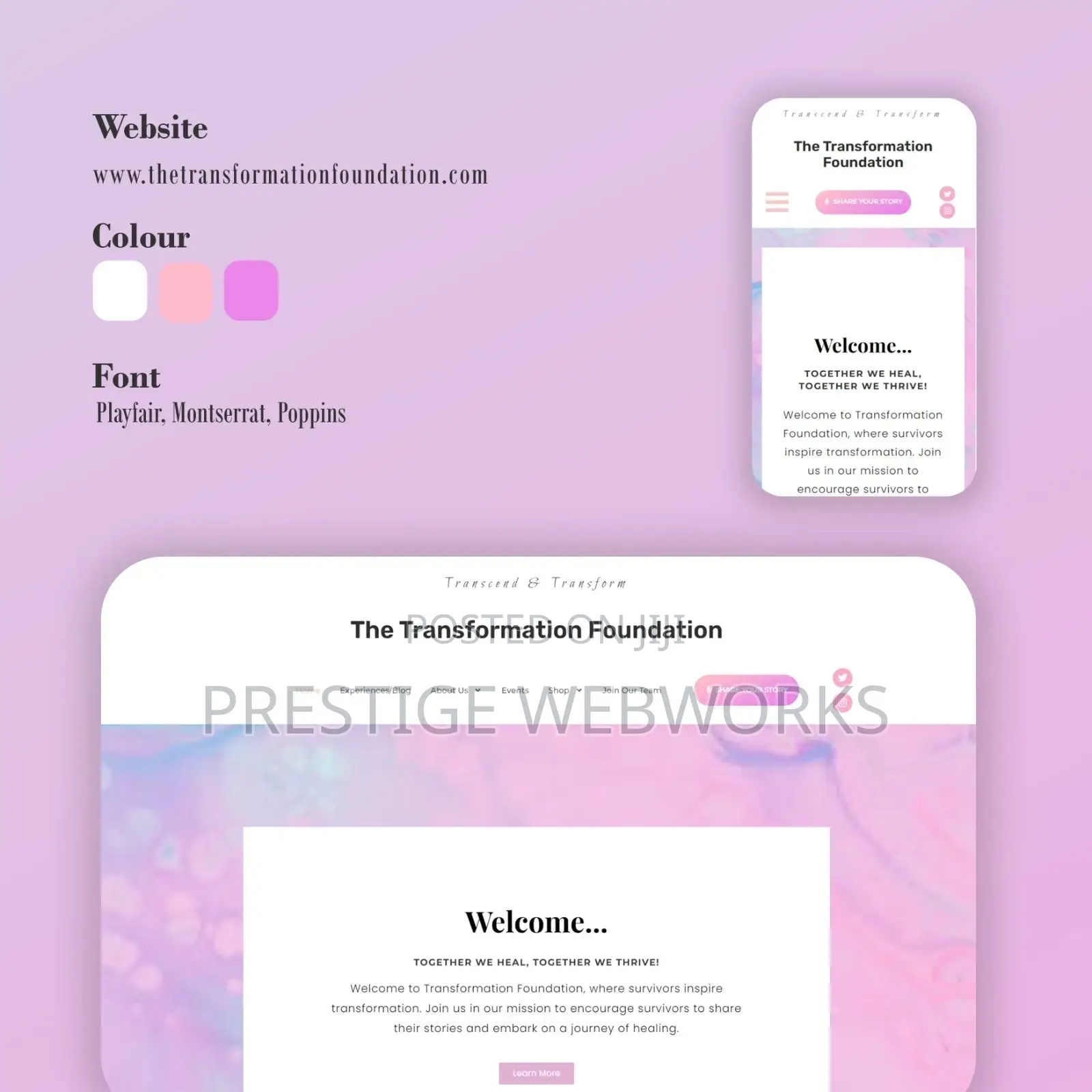Professional Seo Website Development(Business Website)