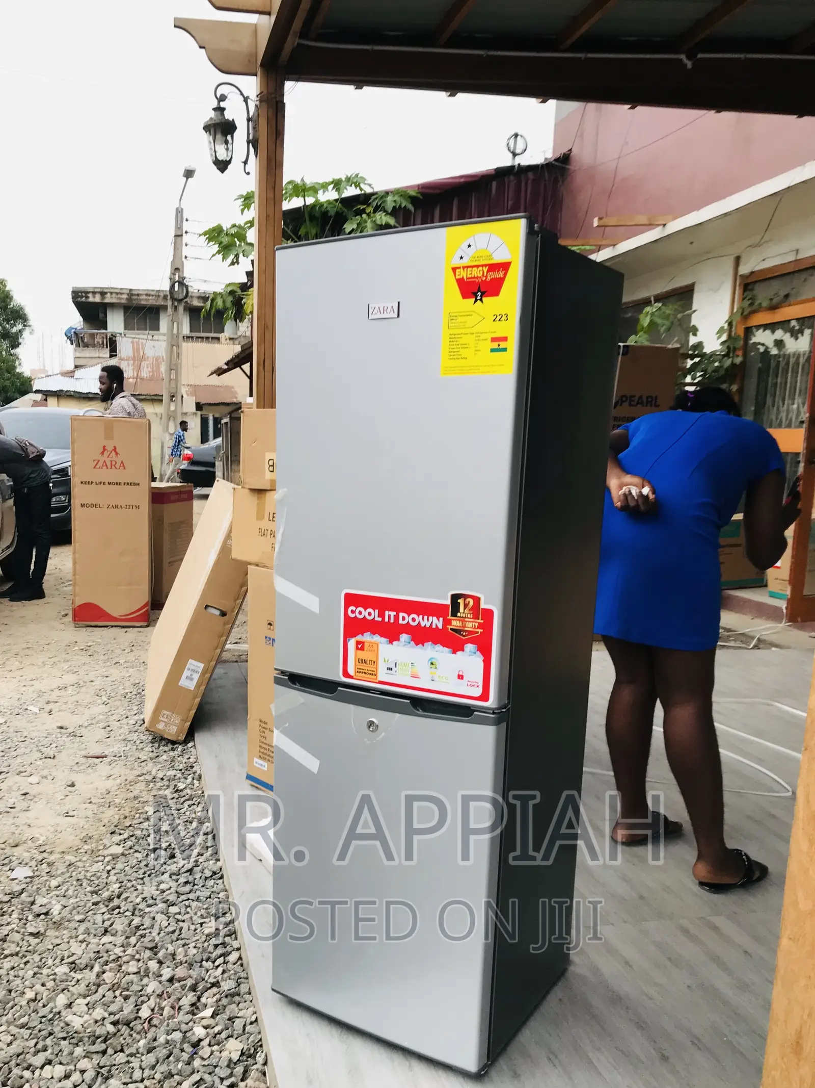 Energy Sufficient Zara 240bf 2 Door Electric Fridge,Gray.