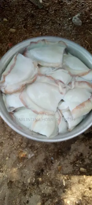 Fresh Squid/ Octopus
