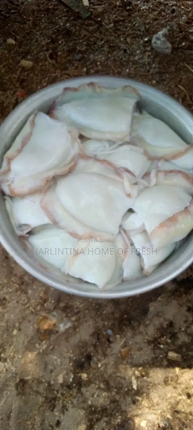 Fresh Squid/ Octopus