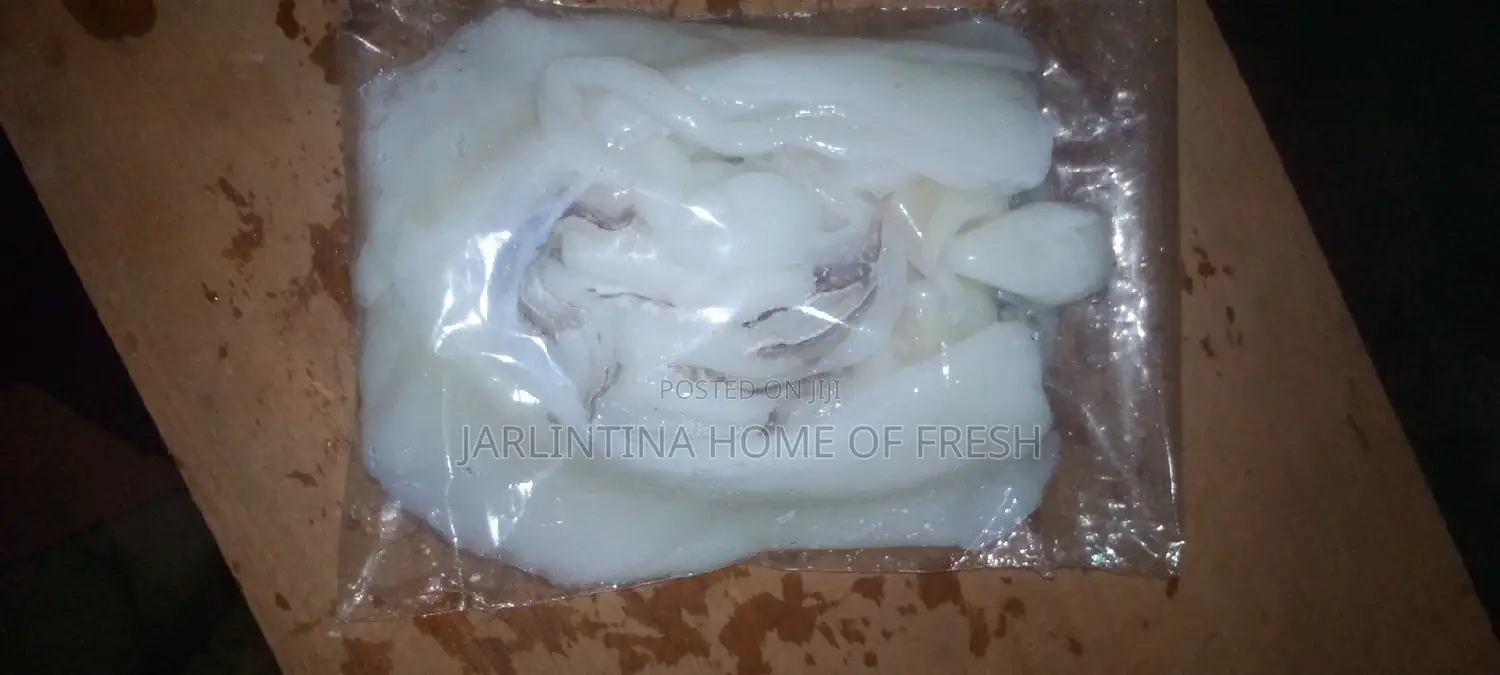 Fresh Squid/ Octopus
