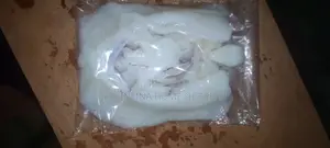 Fresh Squid/ Octopus