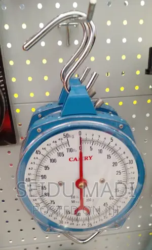 Hanging Scales