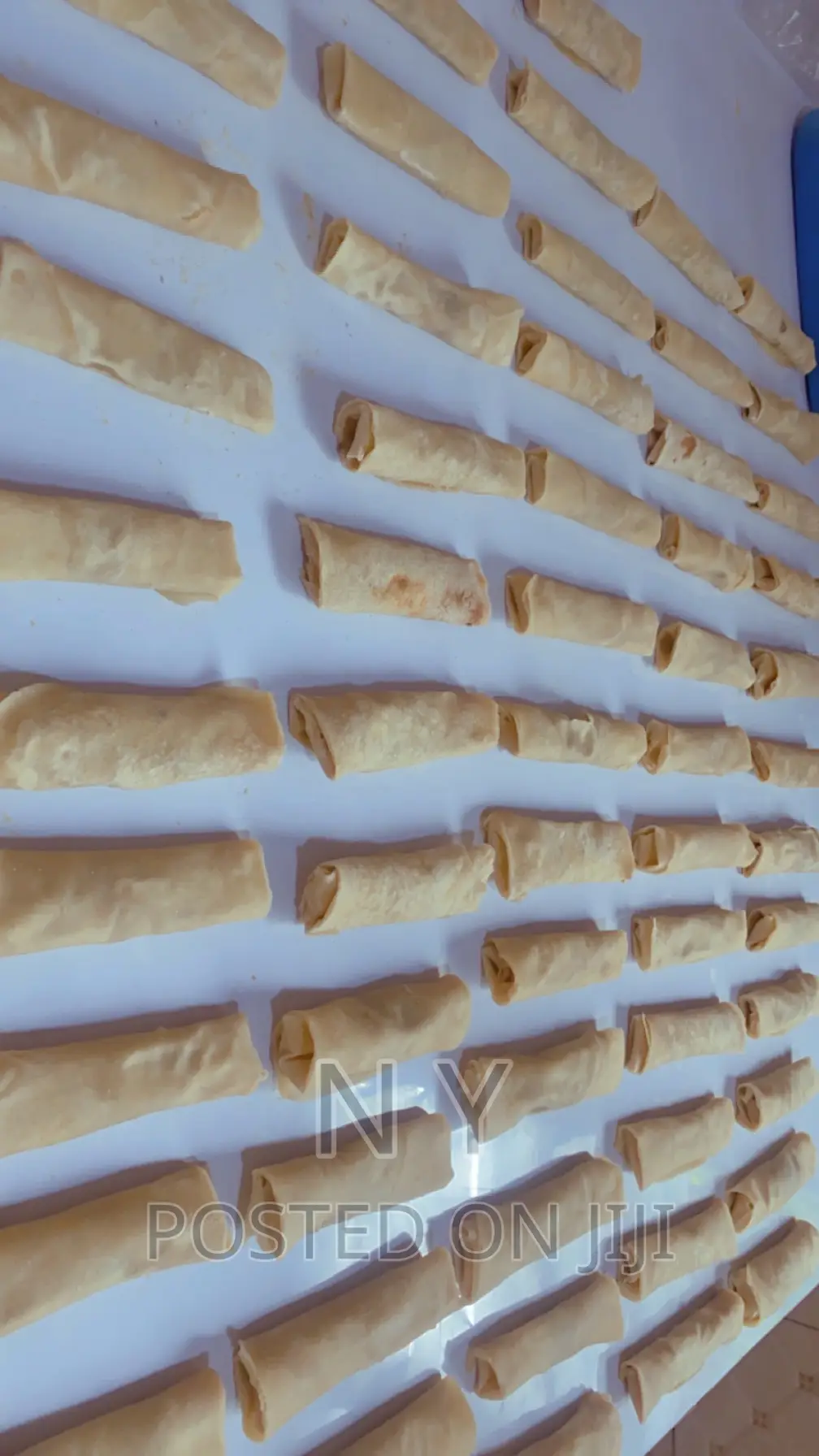 Frozen Spring Rolls And Samosas