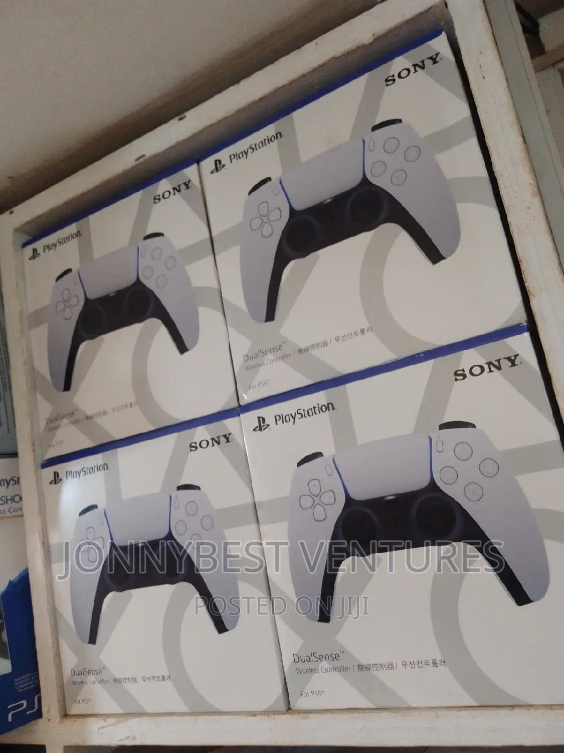 PS5 Game Pad