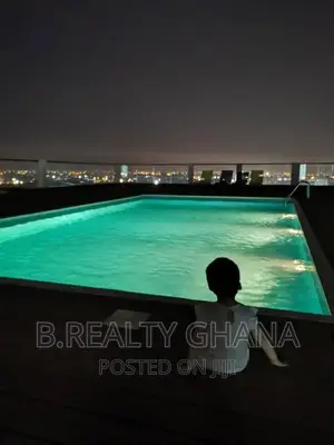 Furnished 1bdrm Apartment in Spintex for rent
