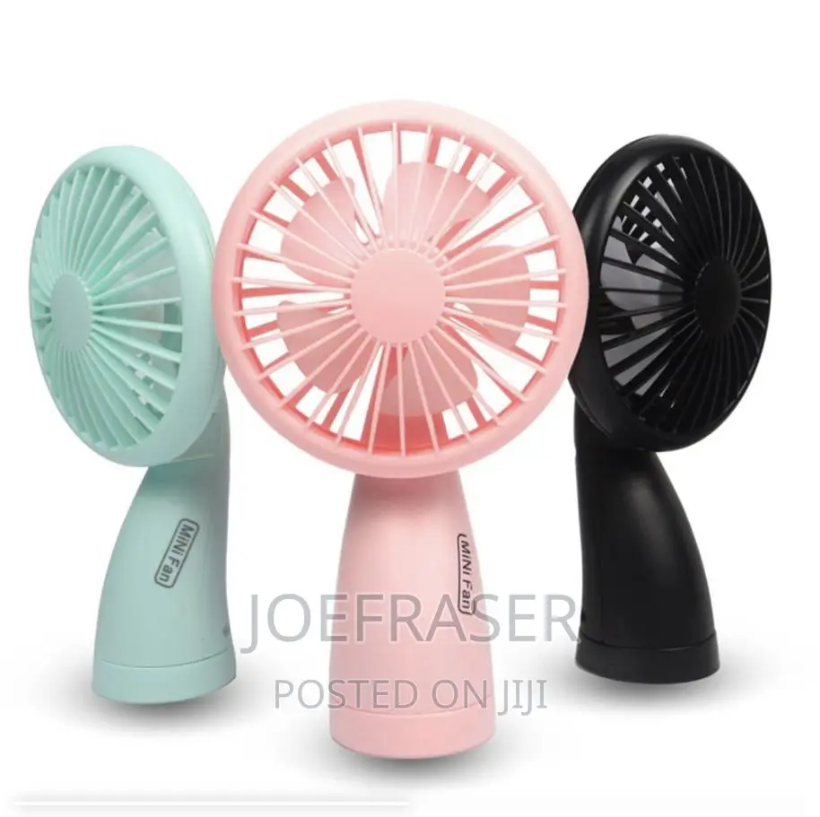 Affordable Cute Bridal Fan