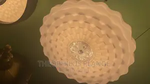 Modern Ceiling Light