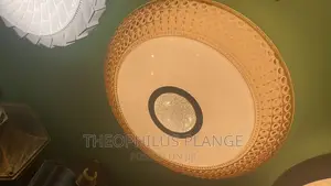 Modern Ceiling Light
