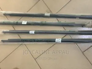 Rav4 2007 to 2013 Door Mouth Strip Window Moulding