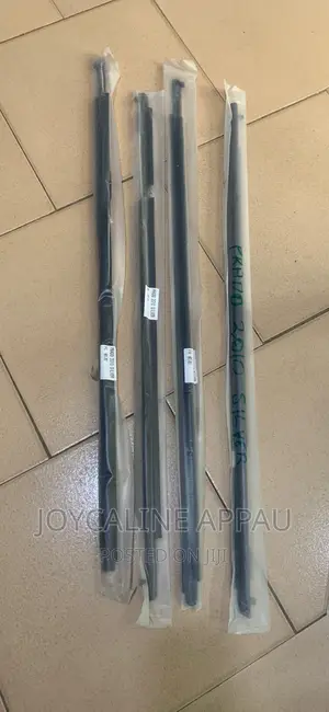 Land Cruiser Prado 2010 to 2018 Door Mouth Strip Window Molding