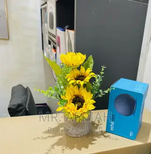 Lovely Design Echo Dot 5th Gen Rechargeable Speaker,Black.