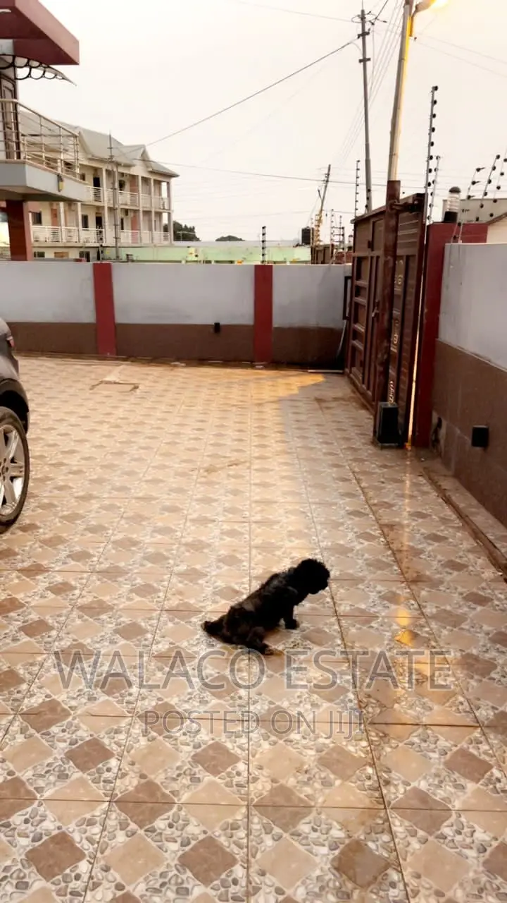 3bdrm House in Walako Estate, Tantra Hills for sale
