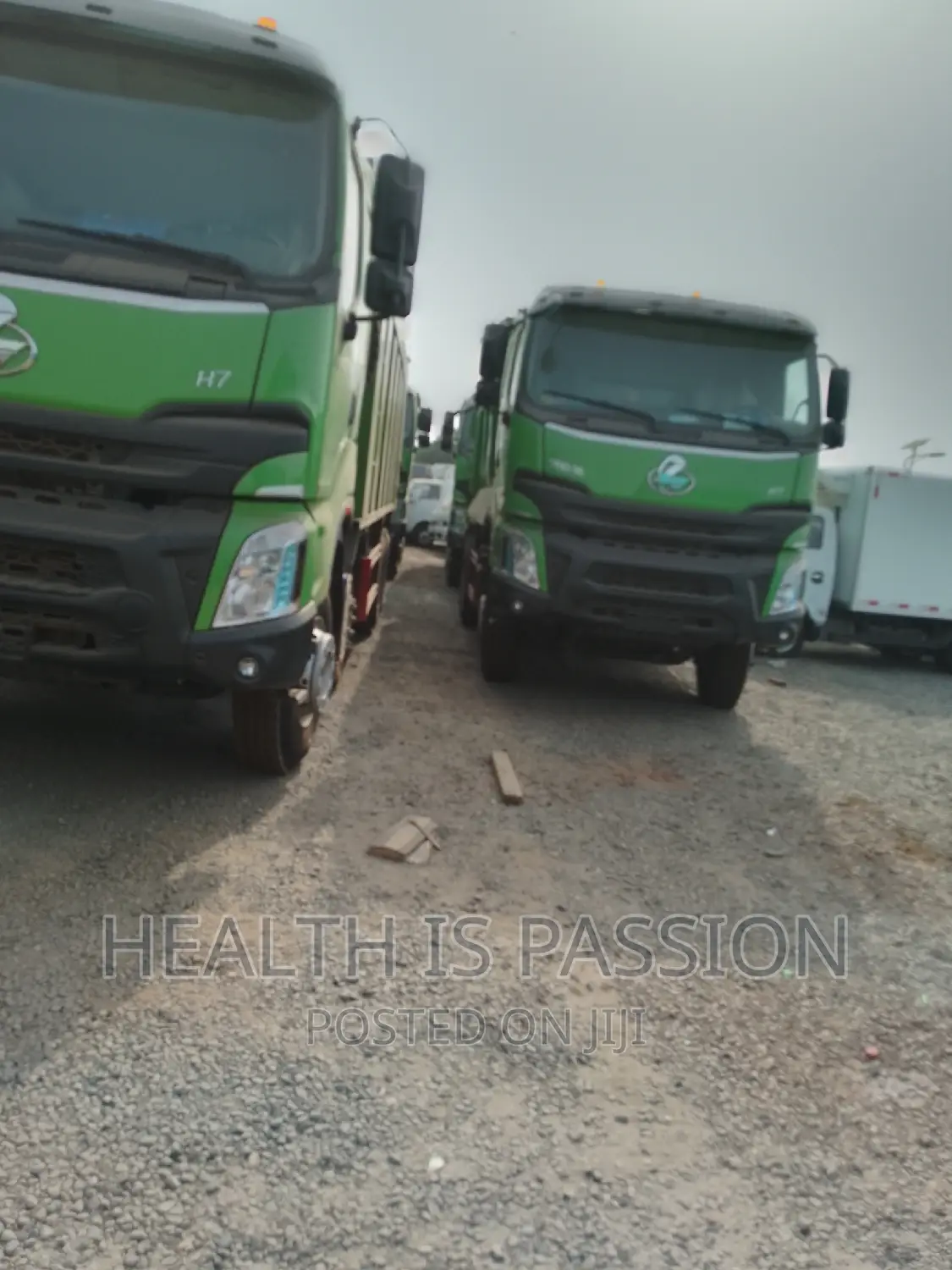 Brand New Zoomlion Tipper Trucks 12wheel 10wheel for Sale