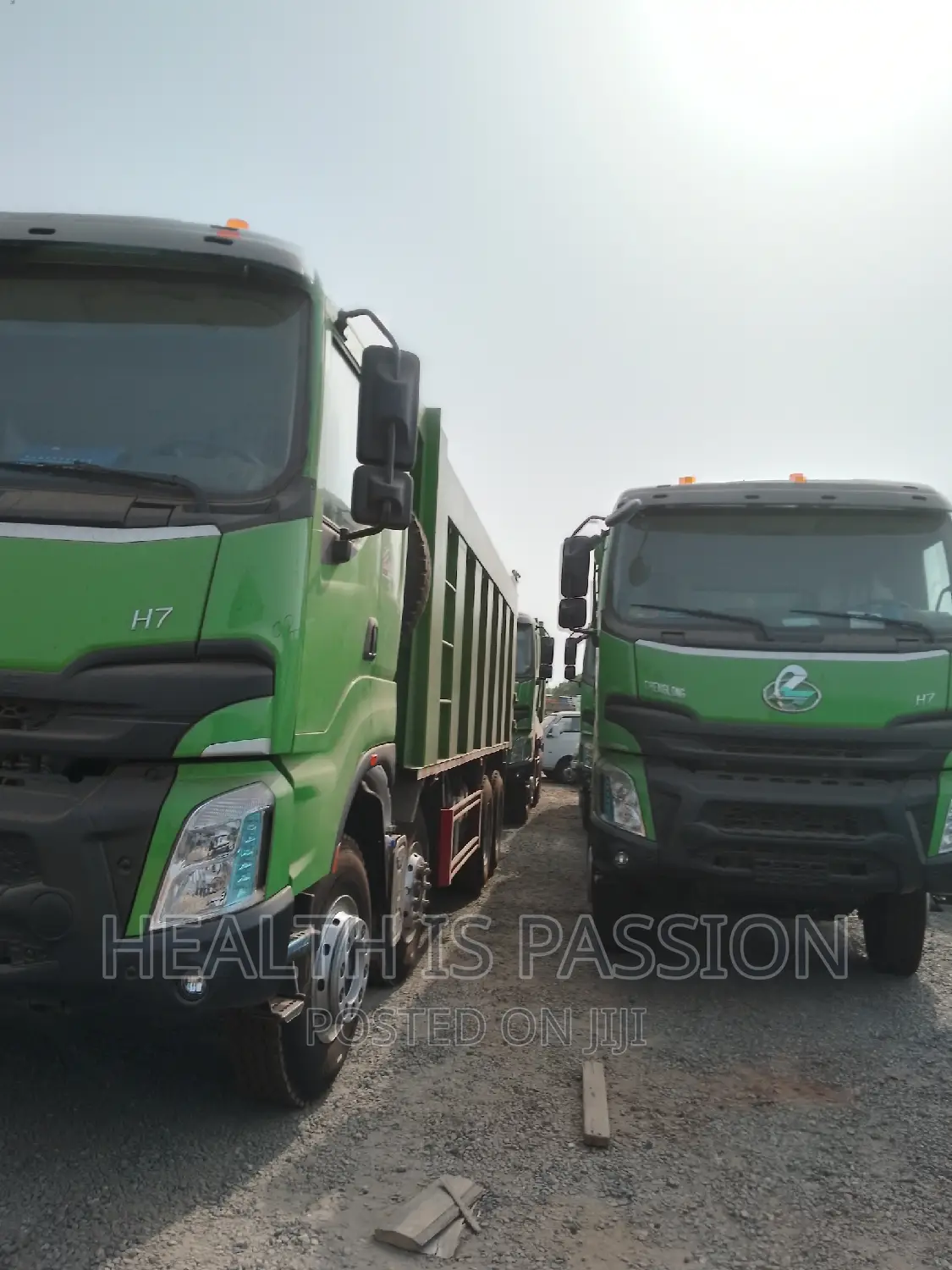 Brand New Zoomlion Tipper Trucks 12wheel 10wheel for Sale