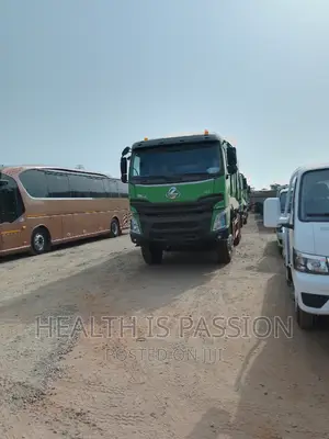 Brand New Zoomlion Tipper Trucks 12wheel 10wheel for Sale