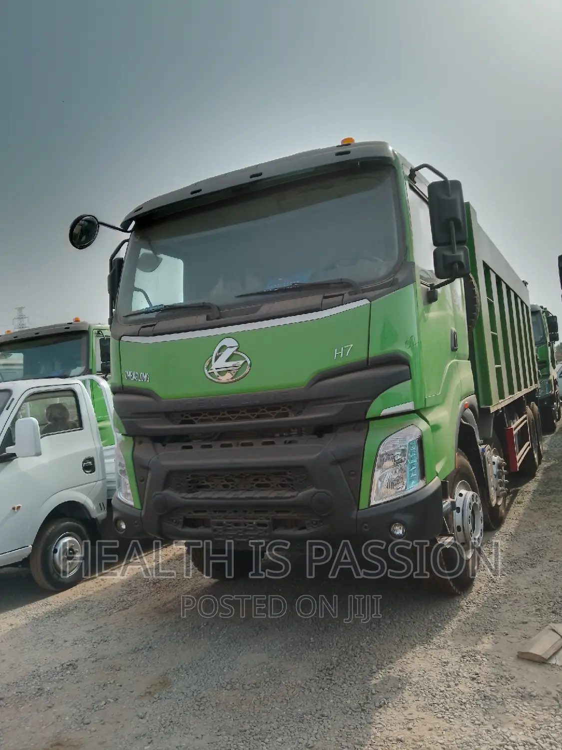 Brand New Zoomlion Tipper Trucks 12wheel 10wheel for Sale