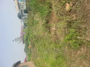 Half Plot of Land