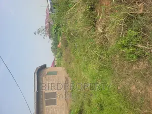 Half Plot of Land