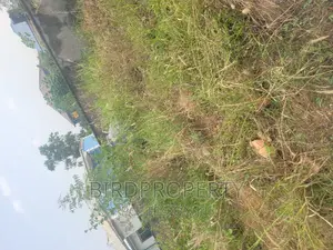 Half Plot of Land