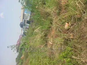 Half Plot of Land