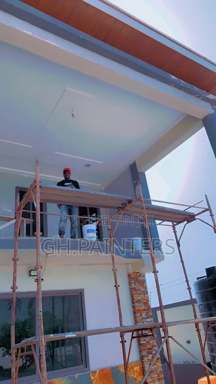 Professional Painters