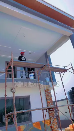Professional Painters