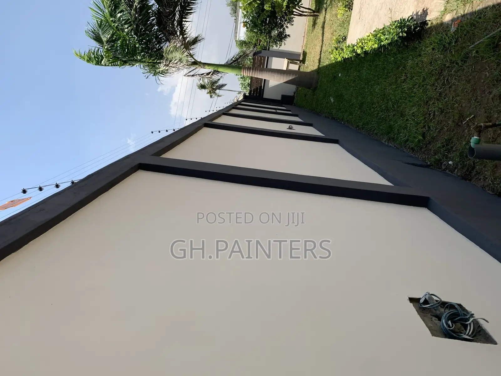 Professional Painters
