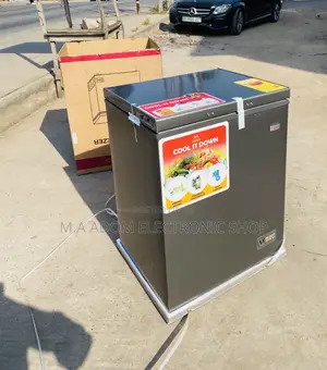 Energy Sufficient Zara 260cf Single Door Electric Freezer.
