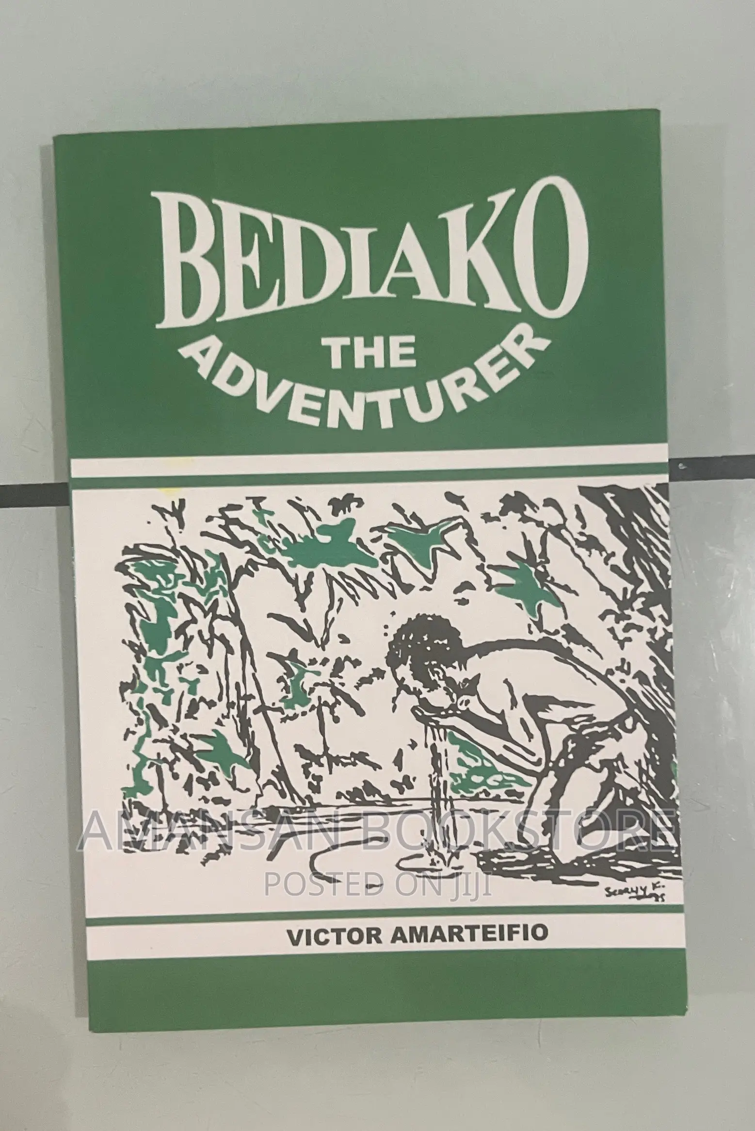 Bediako the Adventurer