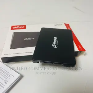 Dahua SSD (512G)