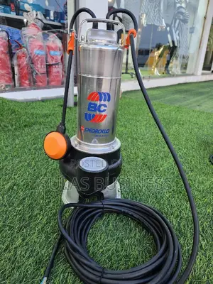 1.5 HP Pedrollo Sewage Pump
