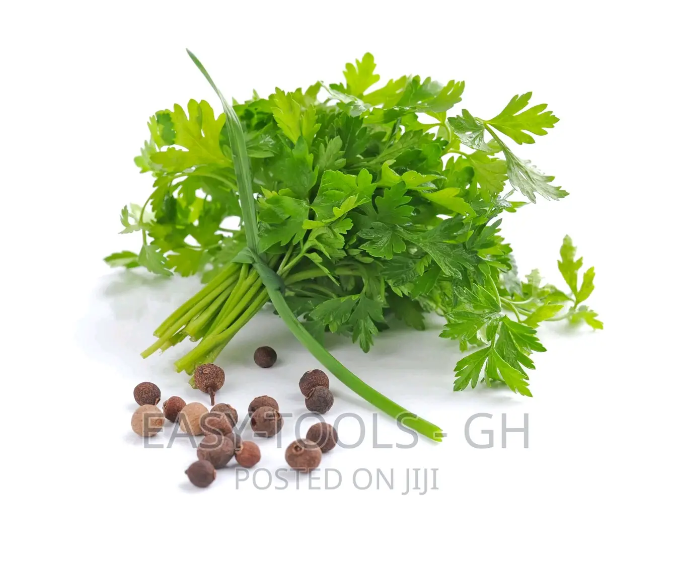 Parsley / Dry _ (For Kidney And Others )