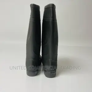 Rain Boot (Tera)