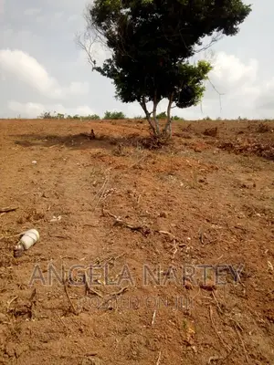 Land for Sale at Tsopoli