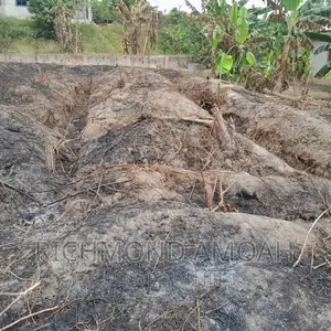 Half Plot for Sale at Queen of Peace
