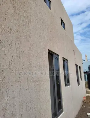 Graffiato Paint / General Painting Services /Wall Skimming