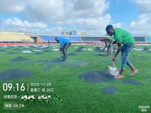Fifa Approved Astroturf