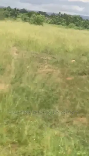 35 Acres of Land at Dodowa