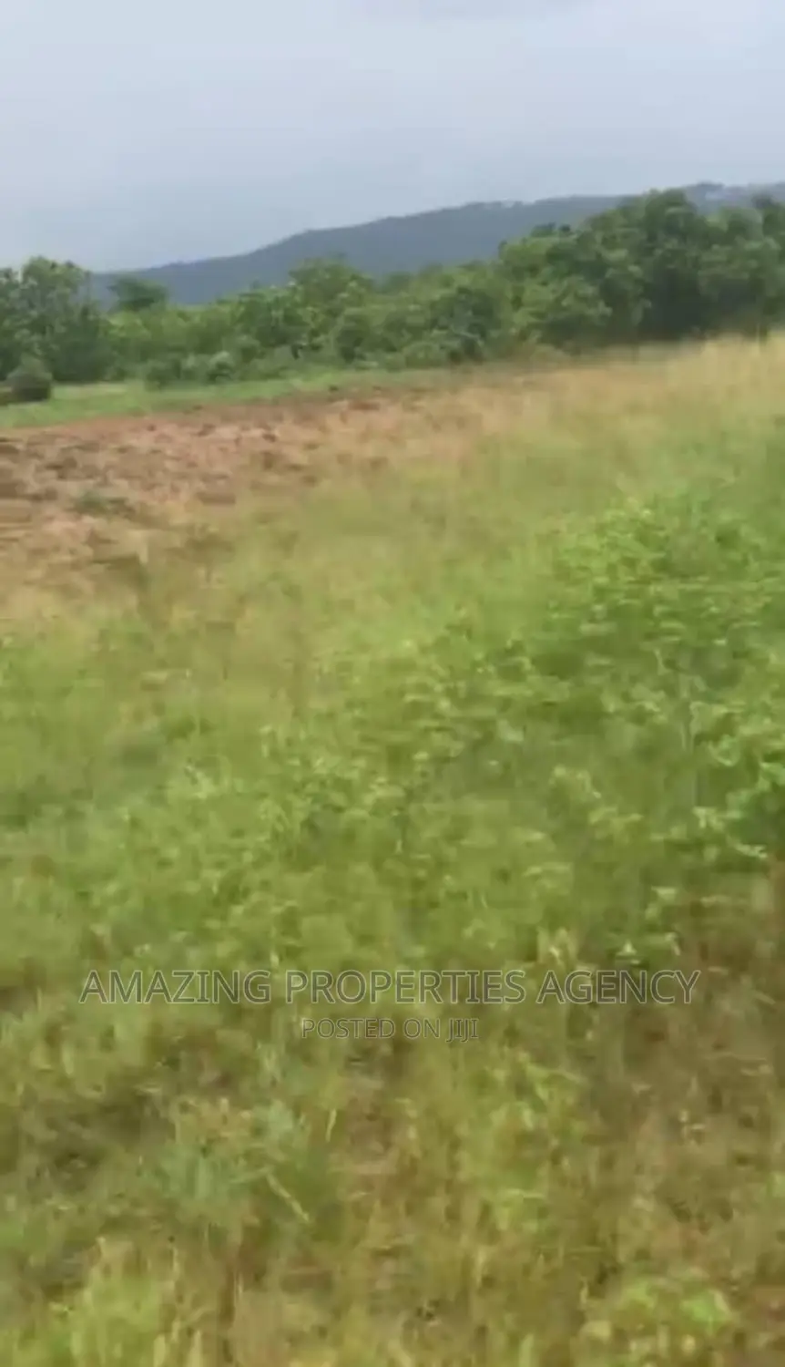 35 Acres of Land at Dodowa