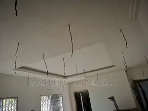 Professional Electrician