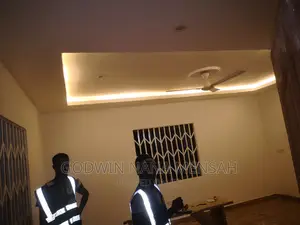 Professional Electrician