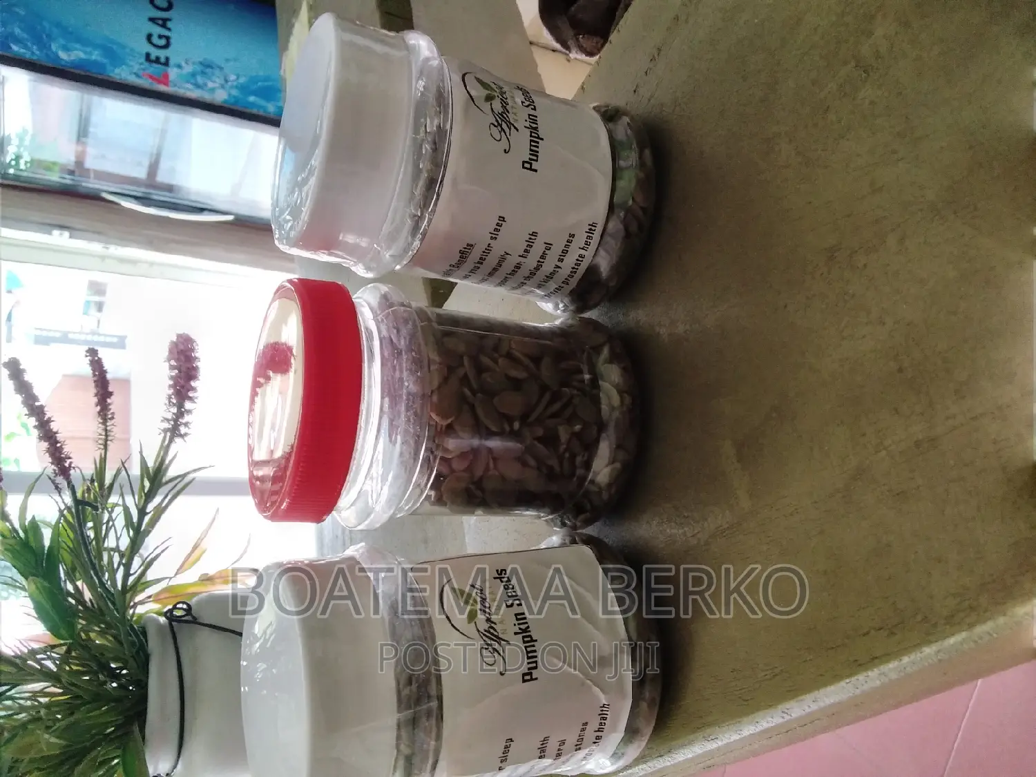 Organic Pumpkin Seed