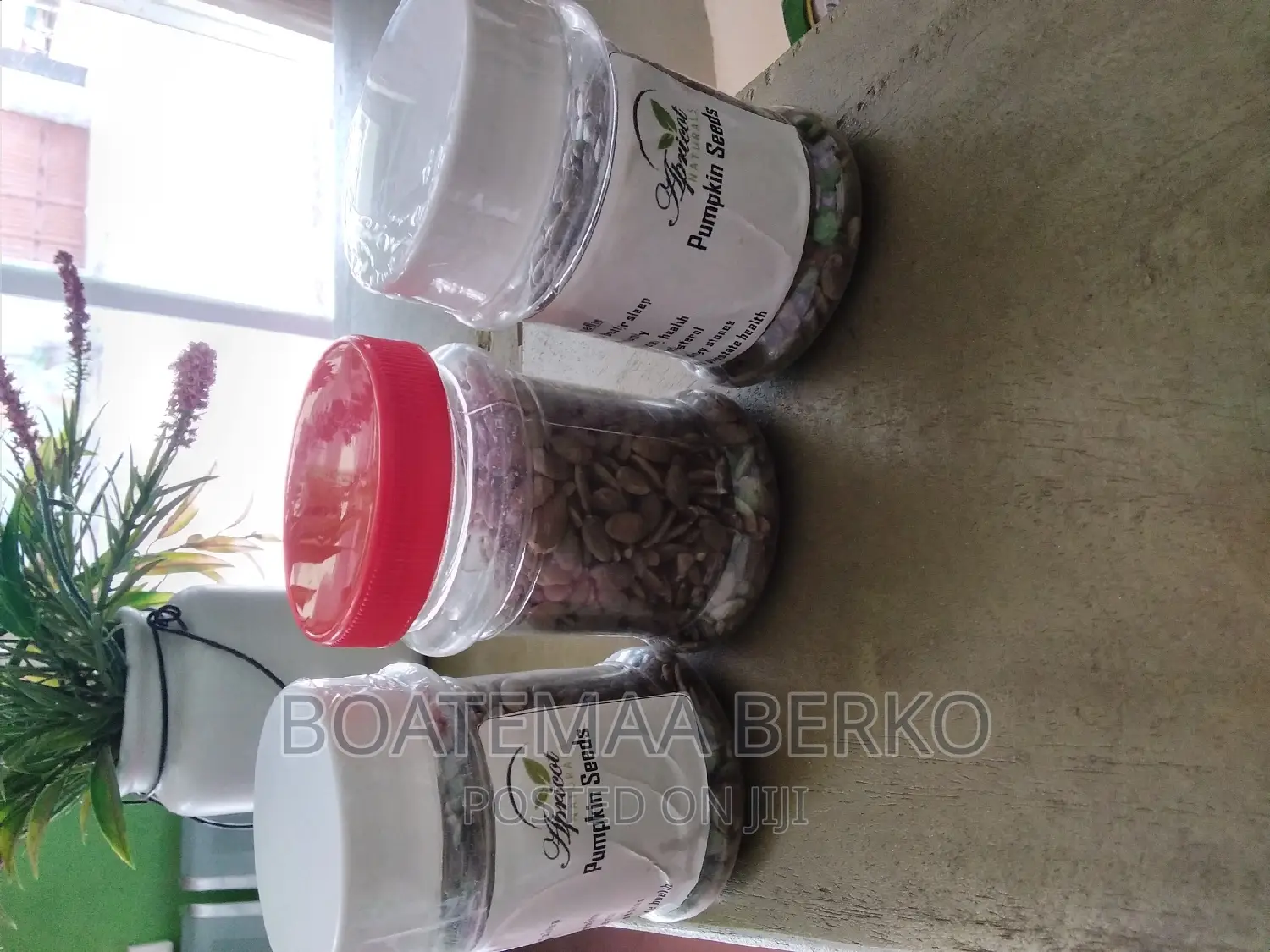 Organic Pumpkin Seed