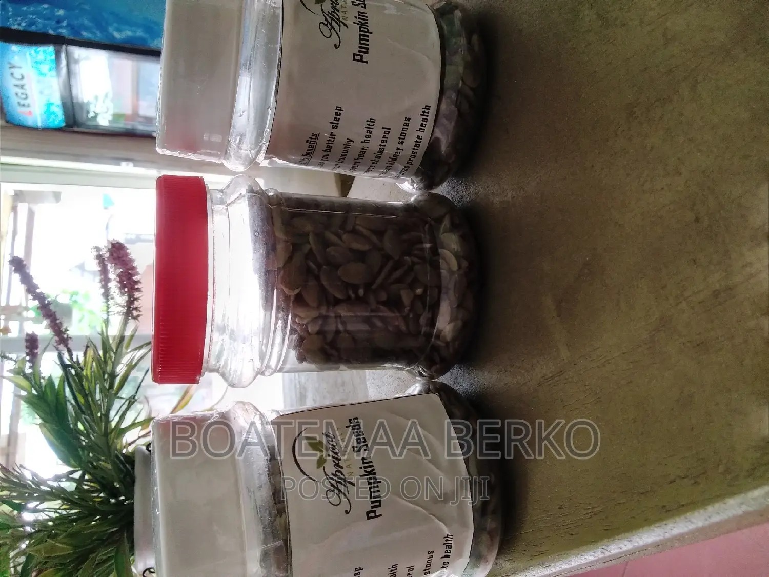 Organic Pumpkin Seed